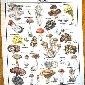 Vintage Mushrooms Botanical Print Decal Antique Home Wall Art Unframed 58x50